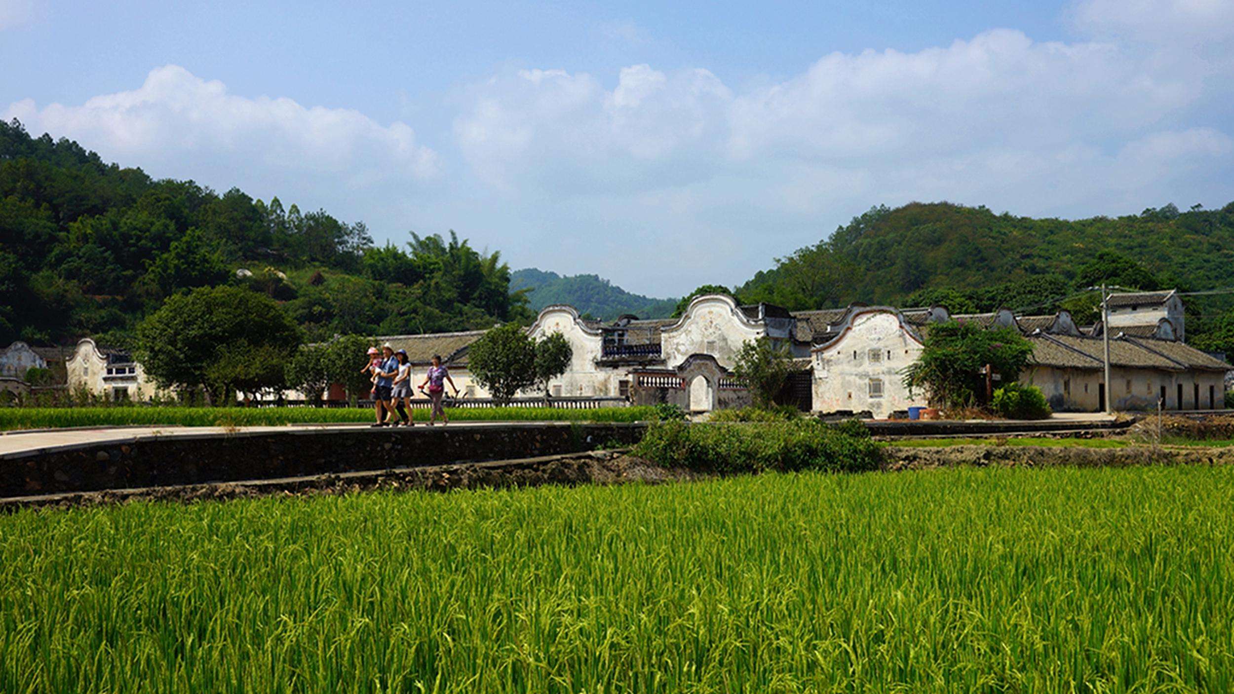乡村环境污染的相关问题解读