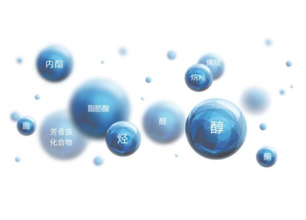 工业废气有哪些环境监测项目