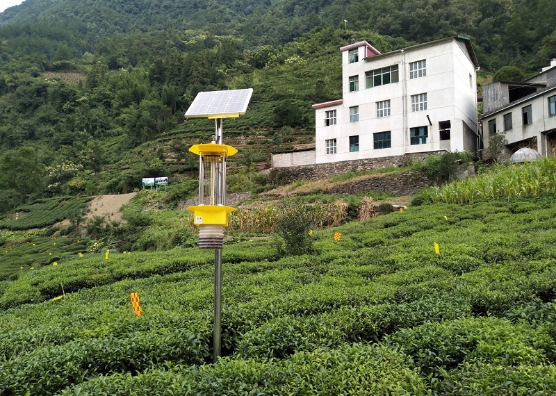 高标准智慧高山茶园解决方案