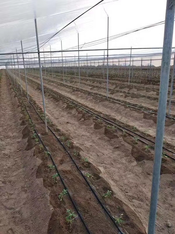 智慧农业水肥一体化灌溉技术解决方案